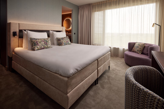 Executive room 