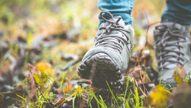Walking