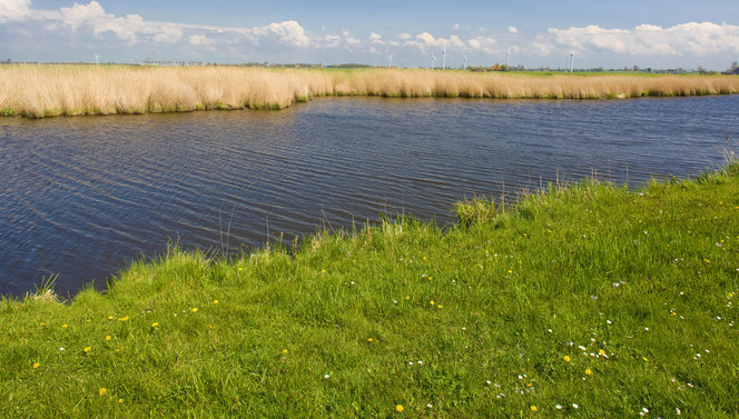 Flevoland waters