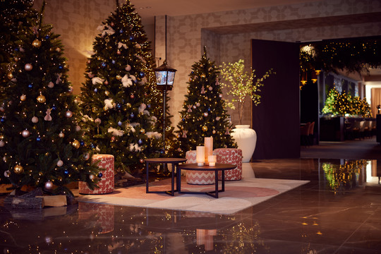 Kerst Hotel Lelystad