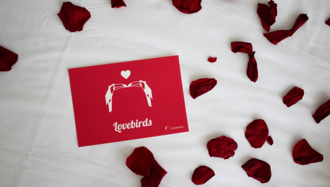 Valentine package