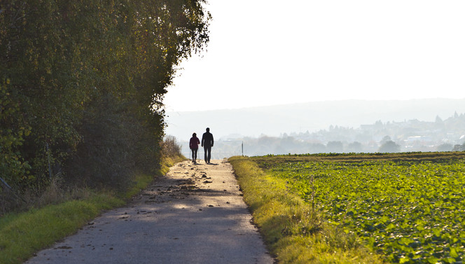 Fiets- en wandelarrangement 