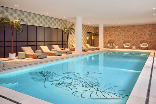 Wellness Arrangement 