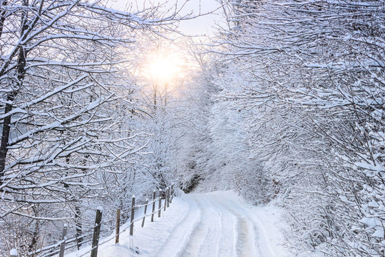 Leukste activiteiten in de winter