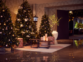 Celebrate the holidays in Lelystad